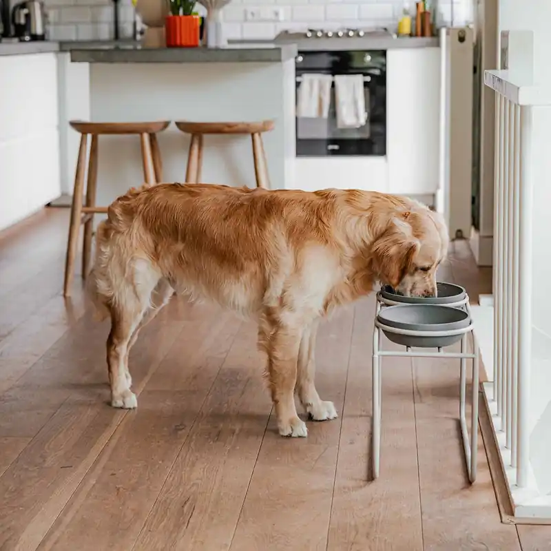 Bästsäljare - District 70 Butler Matbar Beige