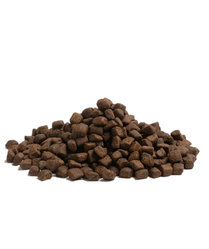 Essential Stamina Torrfoder till Hund - 2,5 kg | Beställ idag