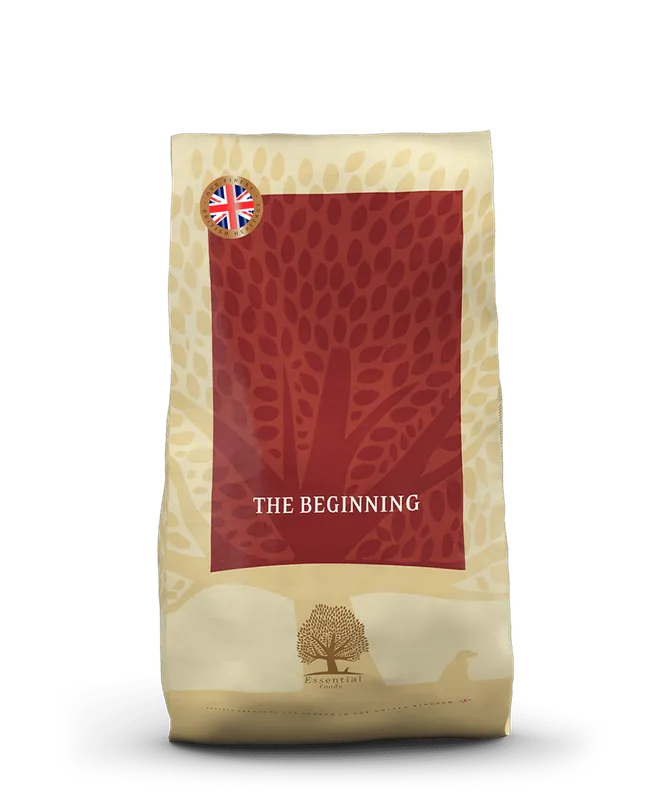Handla online - Essential The Beginning Torrfoder till Valp - 10 kg