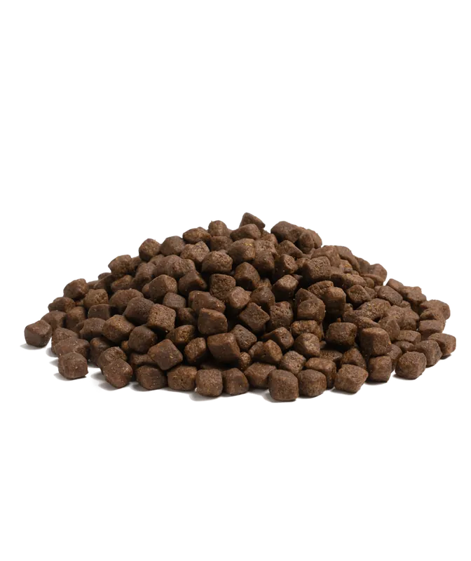 Endast idag | Essential Older Torrfoder till Hund - 2,5 kg