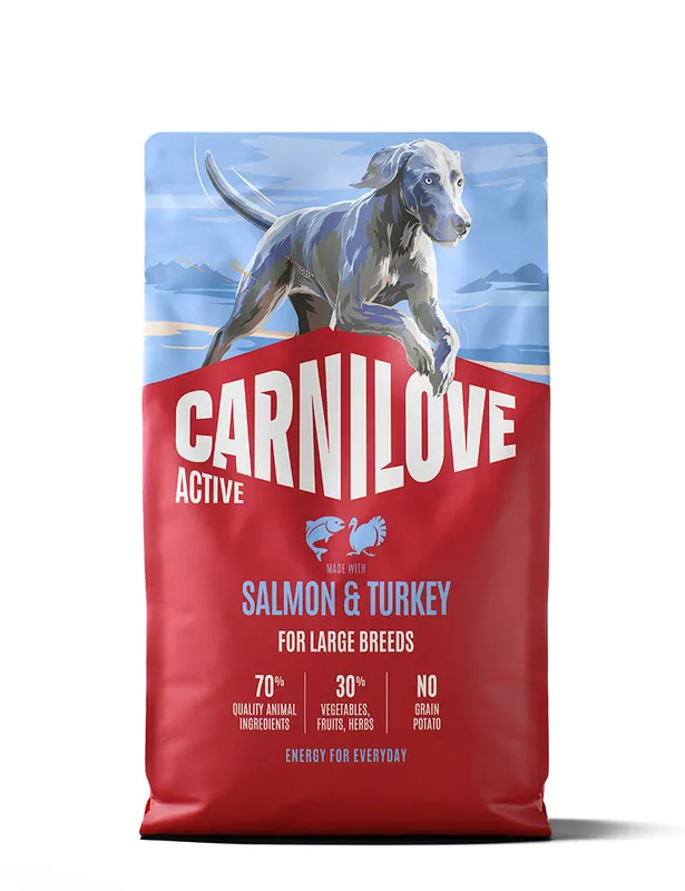 Nytt hos oss | Salmon & Turkey Adult Large Breed Torrfoder för Hundar - 4 kg