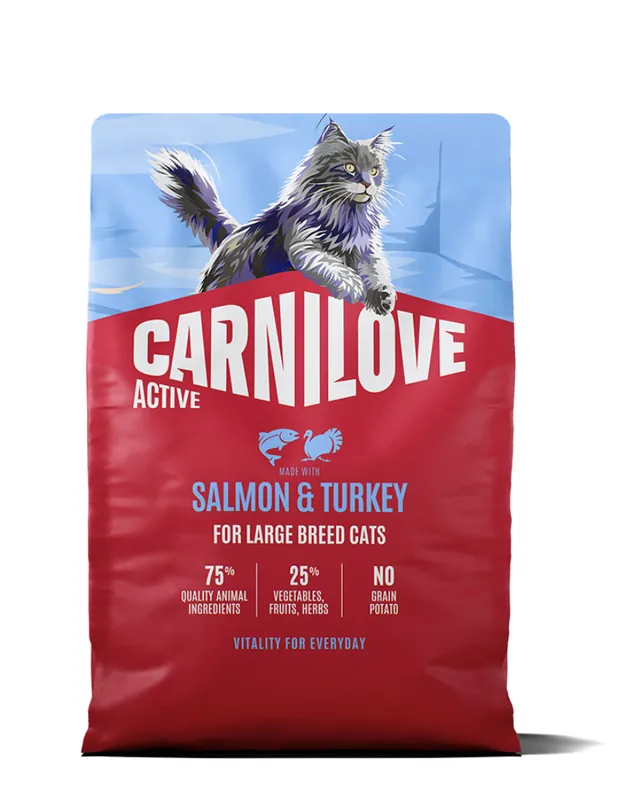 Salmon & Turkey Large Breed Adult Torrfoder för Katt - 2 kg - Erbjudandet går snart ut
