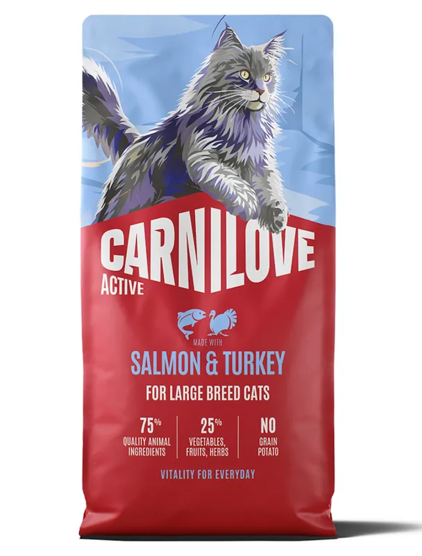 Salmon & Turkey Large Breed Adult Torrfoder för Katt - 6 kg - Rabatter