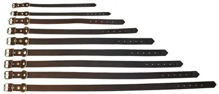 Populär - ALAC Läderhalsband Mörkbrun 22mm x 60cm