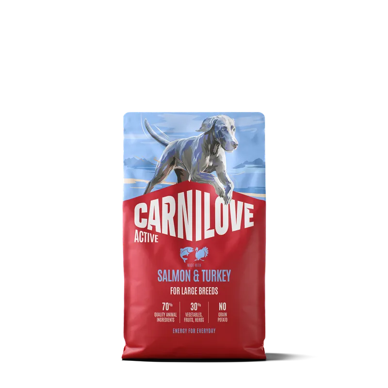 Kundernas favorit | Carnilove Active Dog Adult Large Breed Salmon & Turkey torrfoder för hund 4 kg