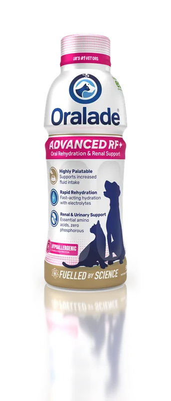 Oralade Advanced RF+ vätskeersättning för hund & katt 500ml | Kundernas favorit