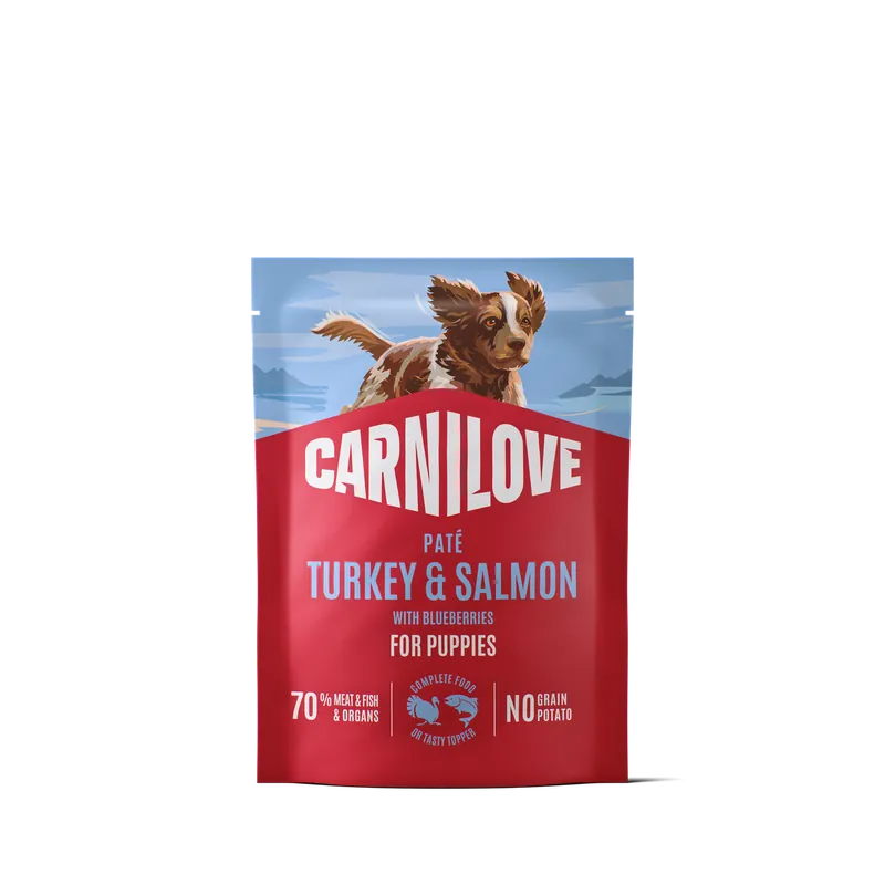 Pouch Paté Turkey & Salmon with Blueberries Våtfoder till Valp - 12 x 300 g | Expressleverans
