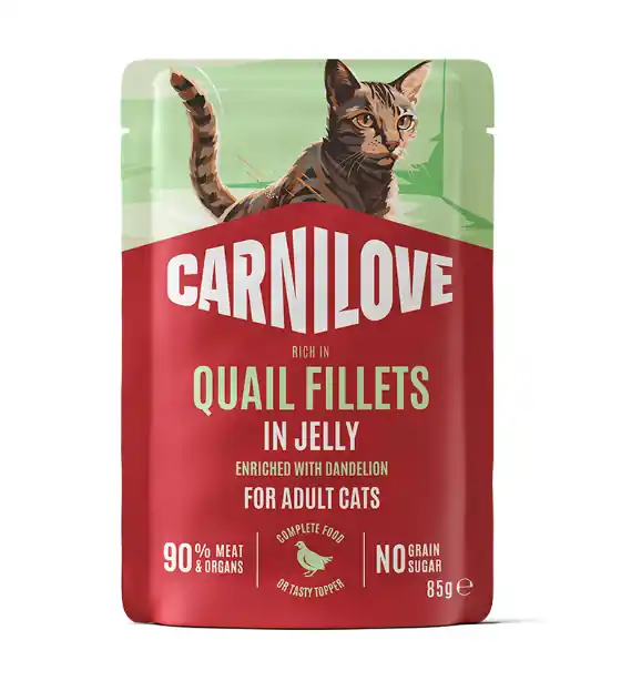 Kan beställas online | Adult Pouch Jelly med Vaktel och Maskros Våtfoder för Katt - 24 st x 85 g