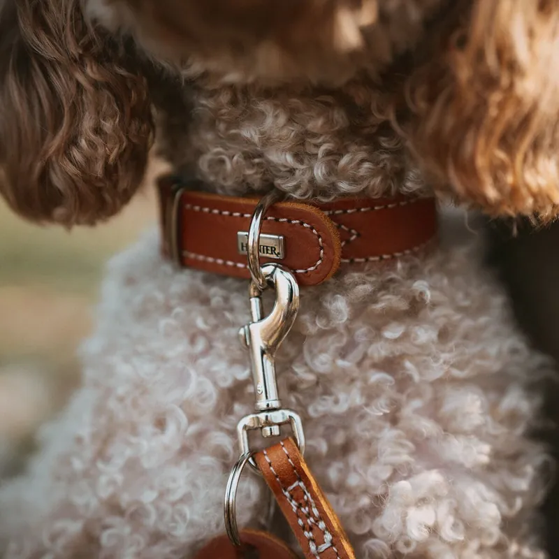 Hunter Aalborg Special Hundhalsband Brun - Snart slut