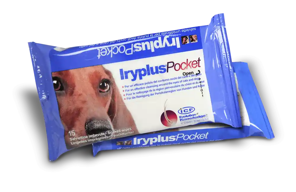 Ögonservetter ICF Iryplus Pocket 20 st - Expressfrakt