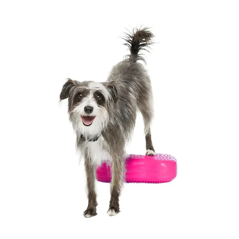 Beställ direkt - FitPaws K9FitBone Mini Balansplattor till Hund 2-pack