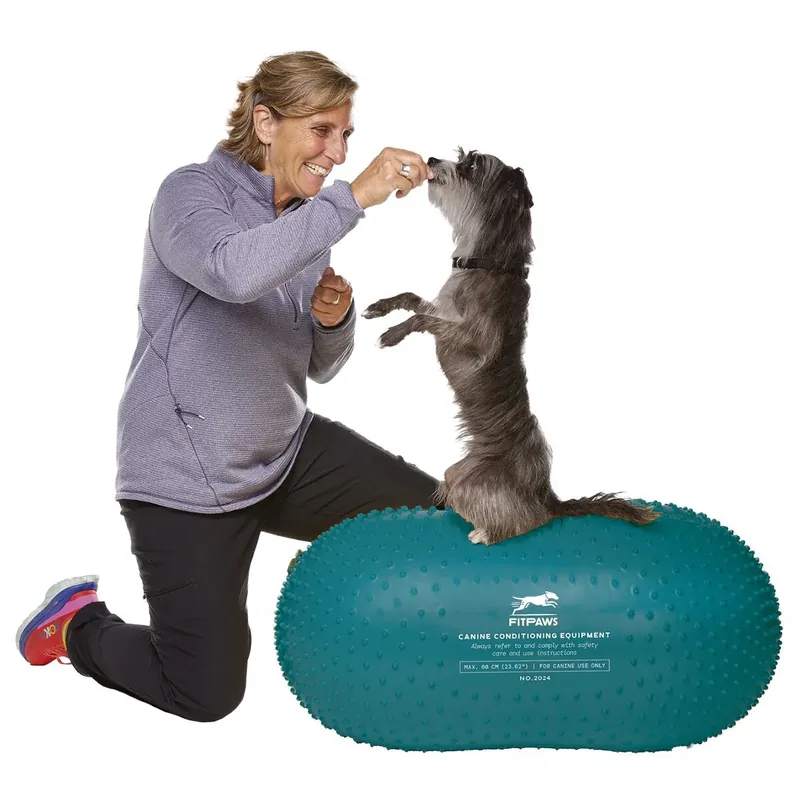 FitPaws Trax Peanut Balansboll till Hund Blå 60 cm | Bara denna vecka