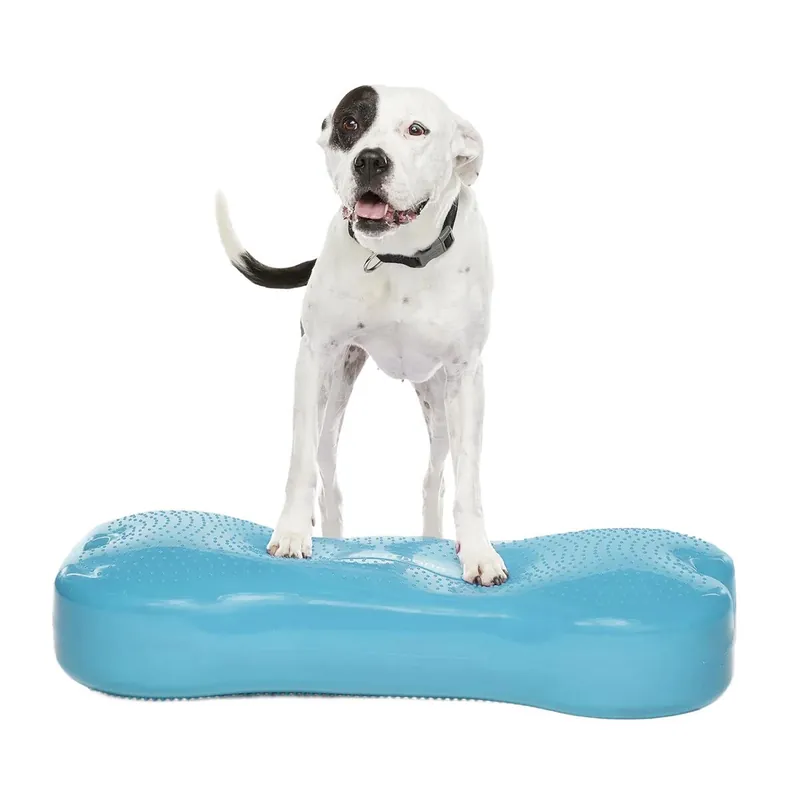 FitPaws K9FitBone Giant Balansplatta till Hund Turkos - Mycket efterfrågad