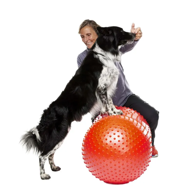 Rea | FitPaws Trax Peanut Balansboll till Hund Röd 50 cm