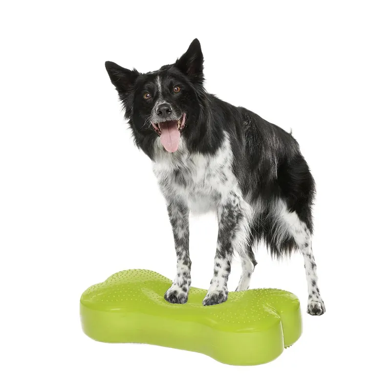 FitPaws K9FitBone Balansplatta till Hund - Tillverkarpris