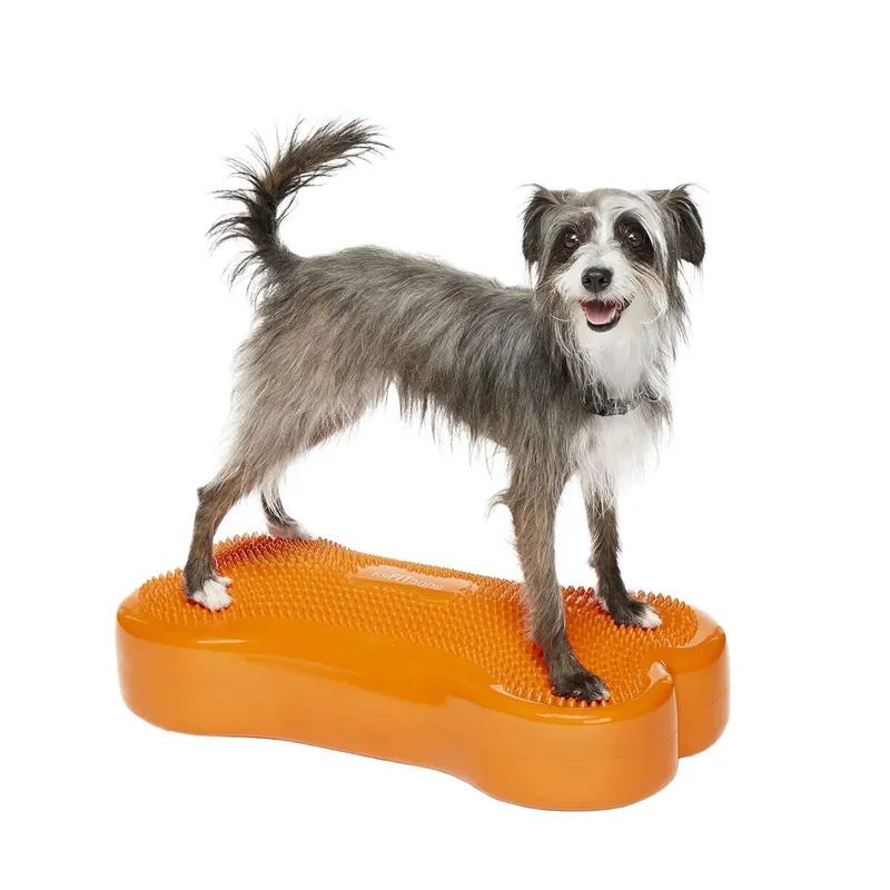 Nytt hos oss - FitPaws K9FitBone Balansplatta till Hund