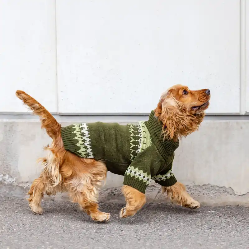 Little&Bigger Icelandic Hundtröja Grön | Beställ direkt