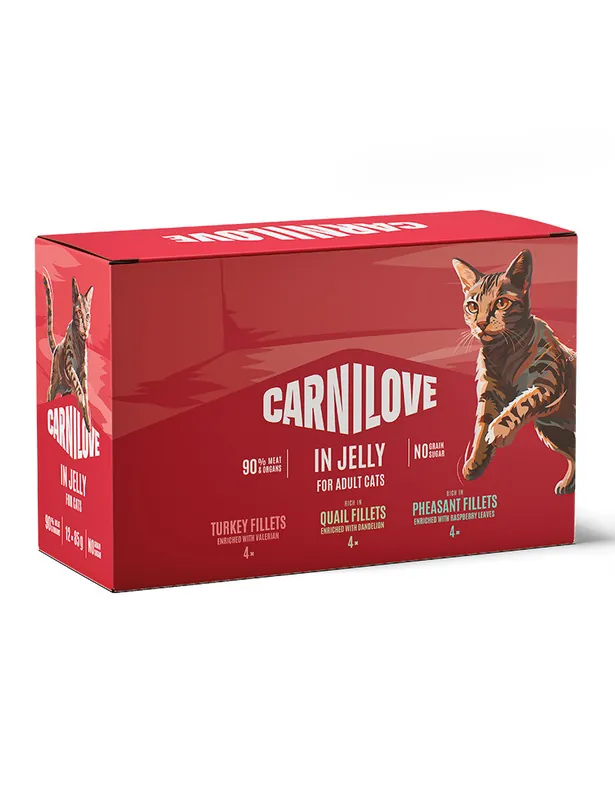 Mycket efterfrågad - Multipack Pouches Jelly Våtfoder för Katt - 12 st x 85 g