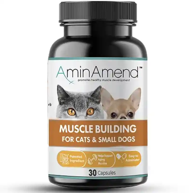 AminAmend™ för katter & små hundar - 30 kapslar - Fyndpris
