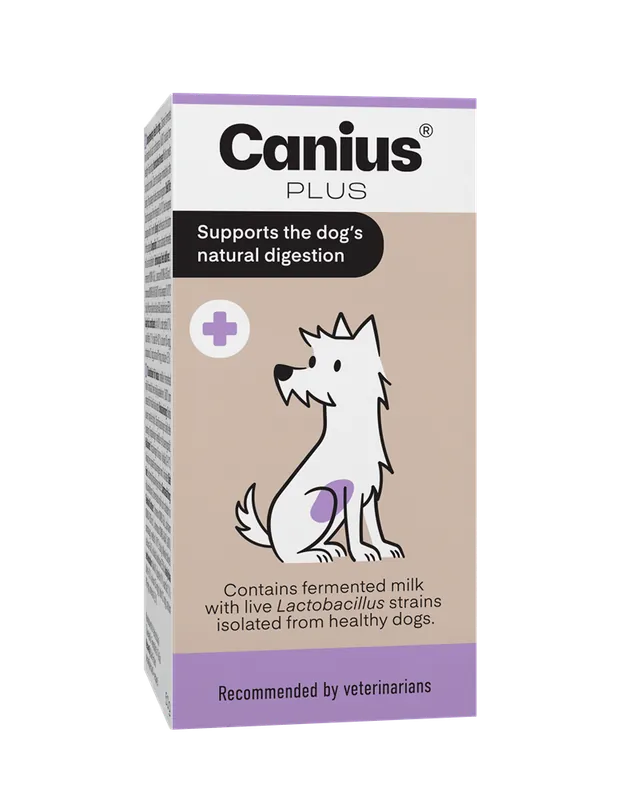 Premiumkvalitet - Canius Plus - Mjölksyrabakterier för hund 60 g