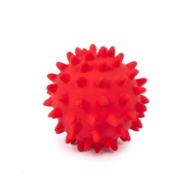 Dagens deal - Little&Bigger Latex Igelkottsboll