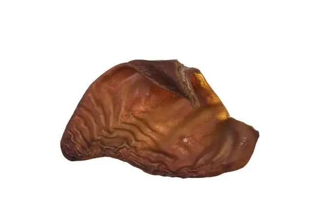 Direkt från fabriken - Nutriment Pork Ear 1 st