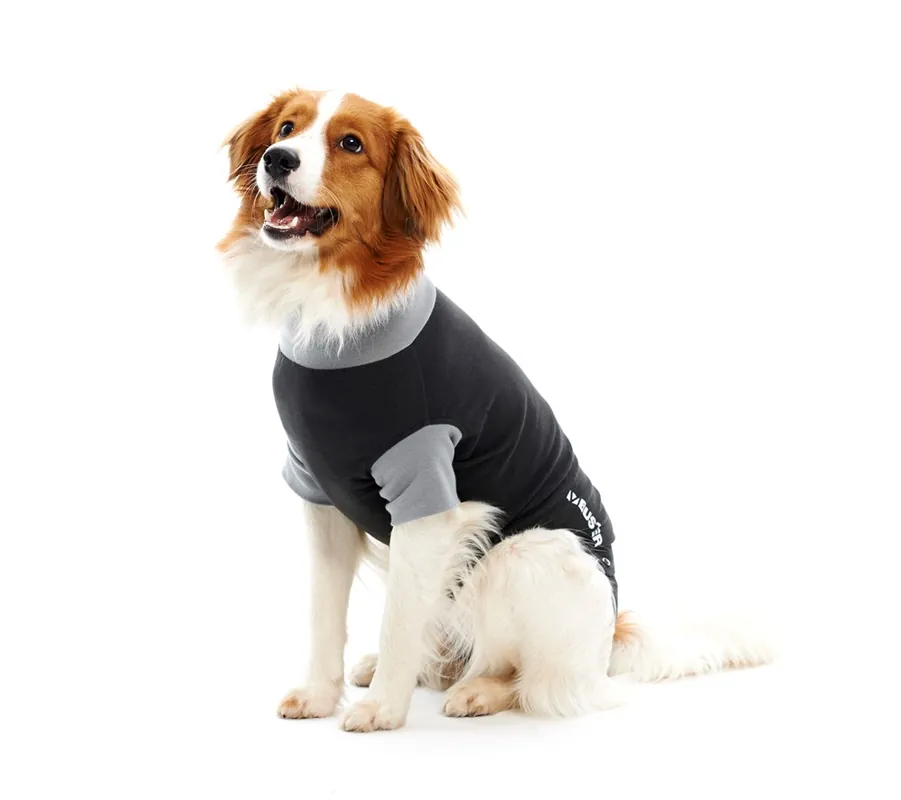 Post-OP overall Buster EasyGo till hund Svart/Grå L - Kan beställas