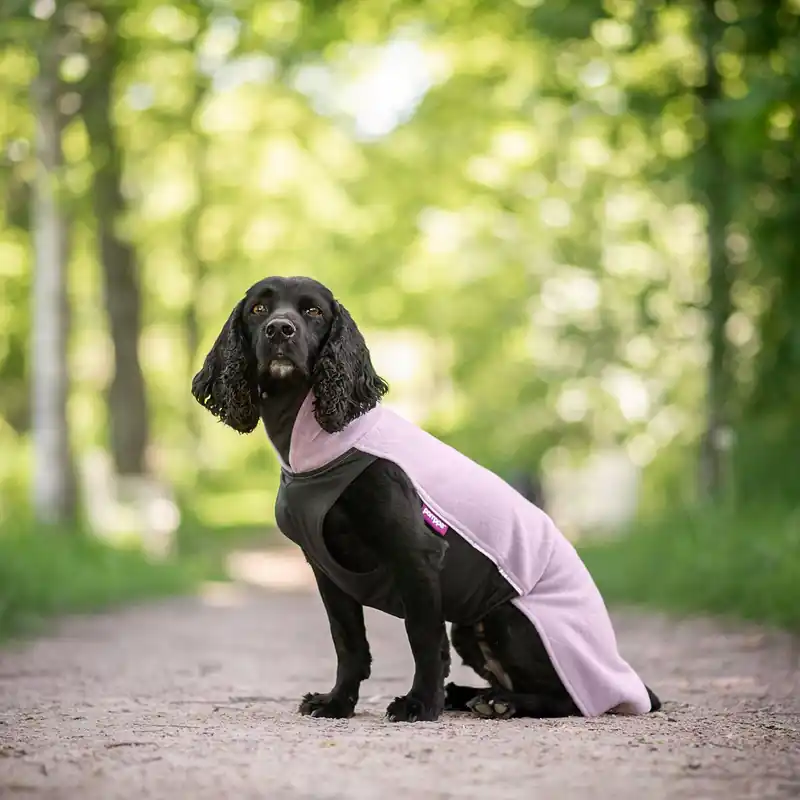 Pomppa Jumppa Fleecetäcke till Hund Elderberry | Professionell kvalitet