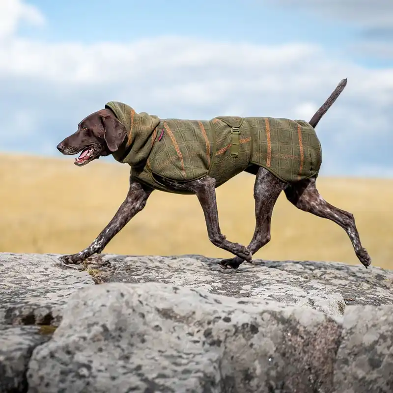 Pomppa Woolie Hundtäcke Olive | Toppkvalitet
