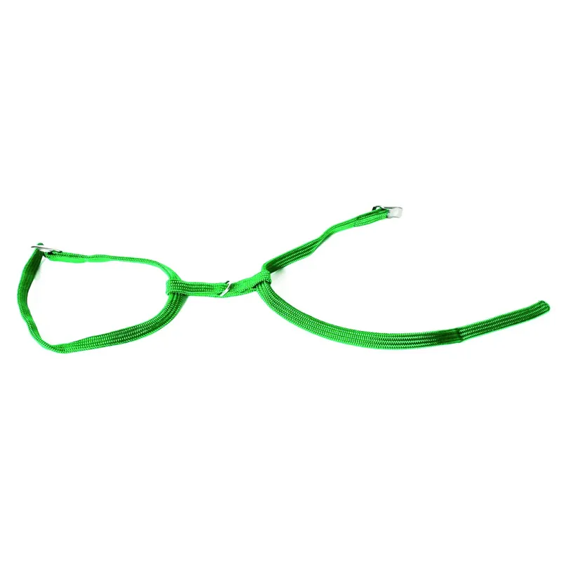 Handla online - Nylon kattsele Martin Sellier H