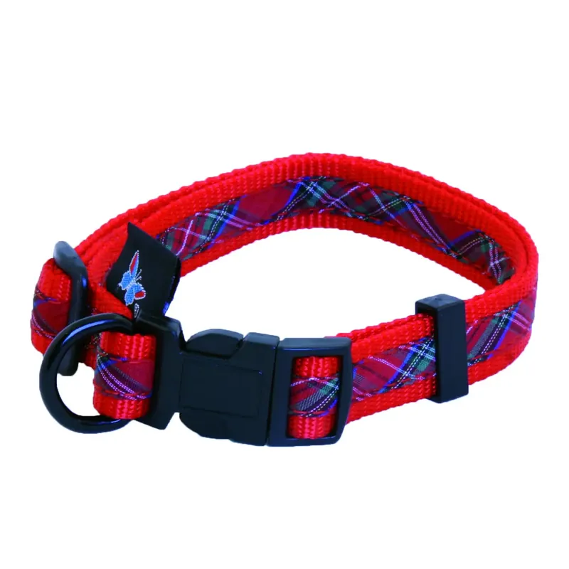 Fyndpris - Justerbar hundhalsband Martin Sellier Benton