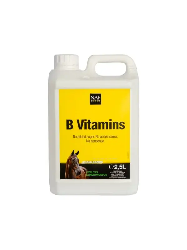 Försäljningssuccé - B-Vitamin Flytande 2,5L