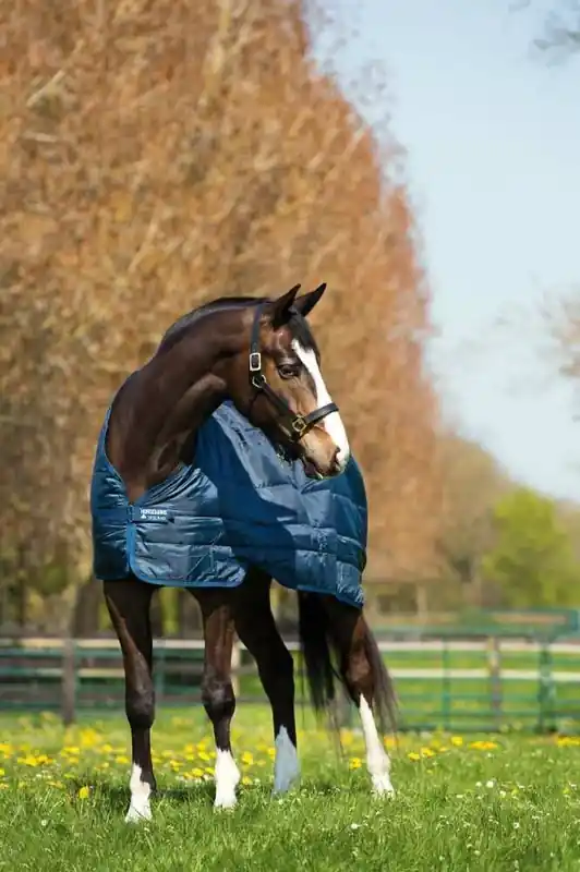 Missa inte - Horseware Liner 200g