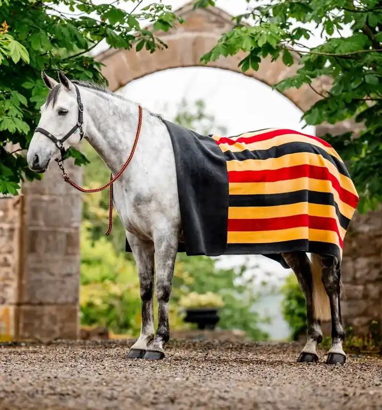 Utförsäljning | Newmarket Fleece – Witney Gold