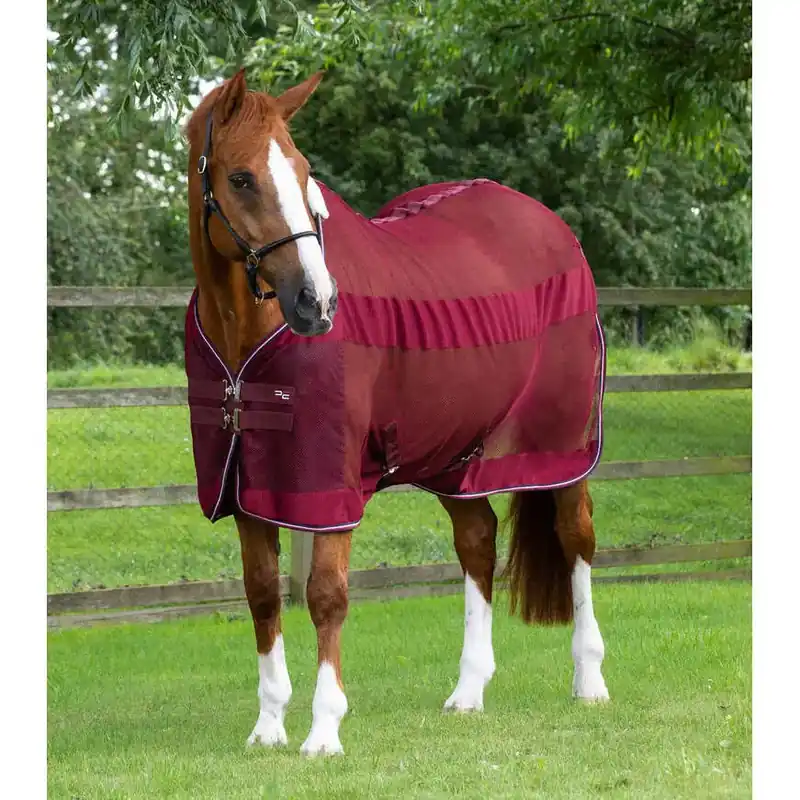 Skjorta med svalkande häst Premier Equine Arisca Scrim | Passa på nu
