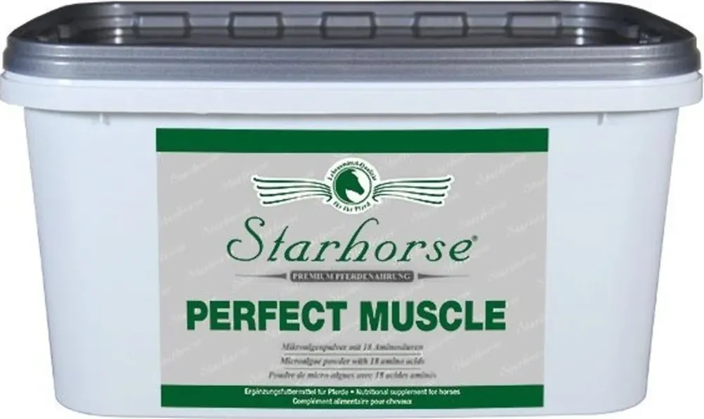 Perfect Muscle 3.000 g - Reapris