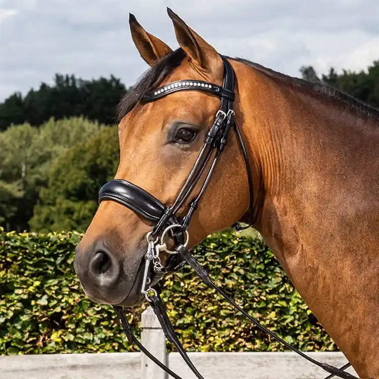 Kandarträns Matte Large Pullbacknosgrimma – Dressage Collection Round Leather - Mycket efterfrågad
