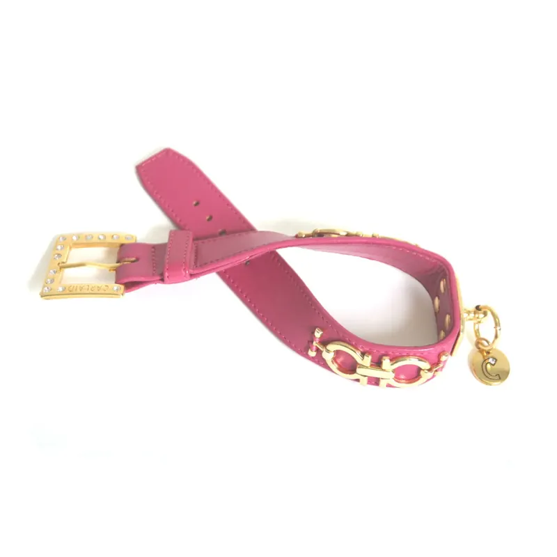 Beställ nu - Hundhalsband Martin Sellier Deco