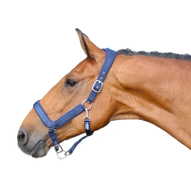 GRIMMA ANATOMISK NYLON NAVY | Nyligen tillagt