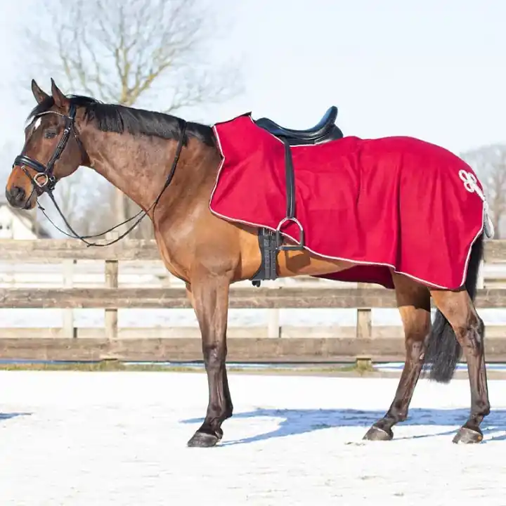 Skrittäcke Ornament Fleece Vinröd/Silver - Sänkt pris