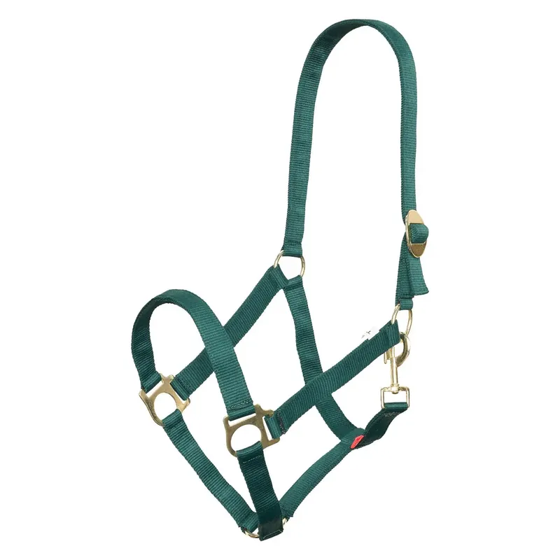 Rekommenderas | Hästgrimma i nylon Imperial Riding Economic