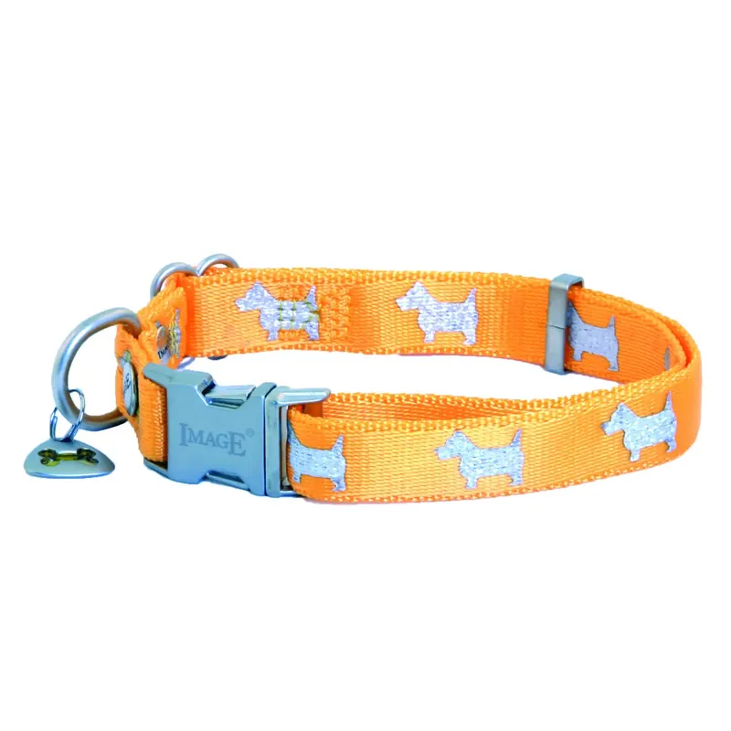 Hundhalsband Image Happy Angel - Toppsäljare