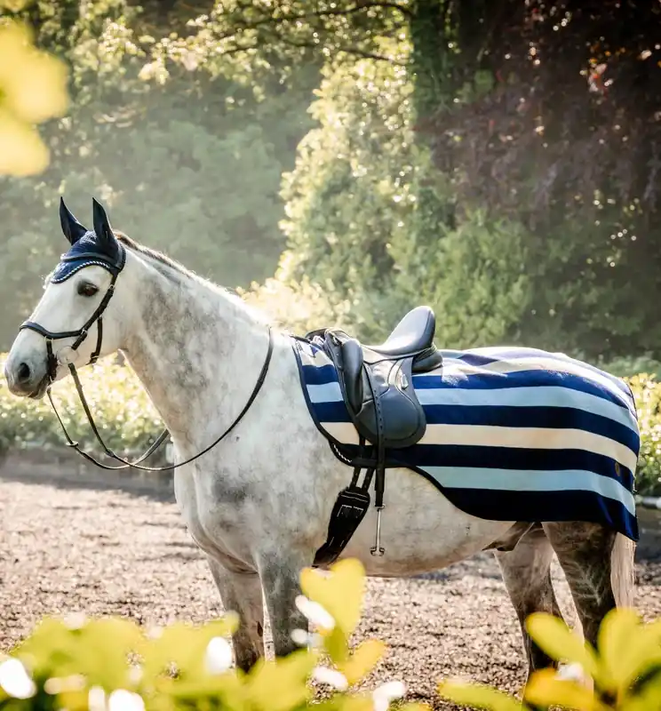 Gratis retur | Newmarket Ridtäcke – Witney Navy