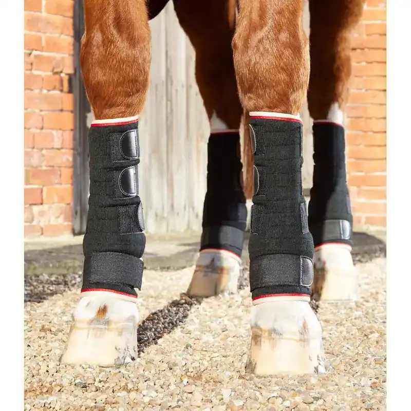 Snabbtorkande damasker för hästar Premier Equine - Mycket uppskattad