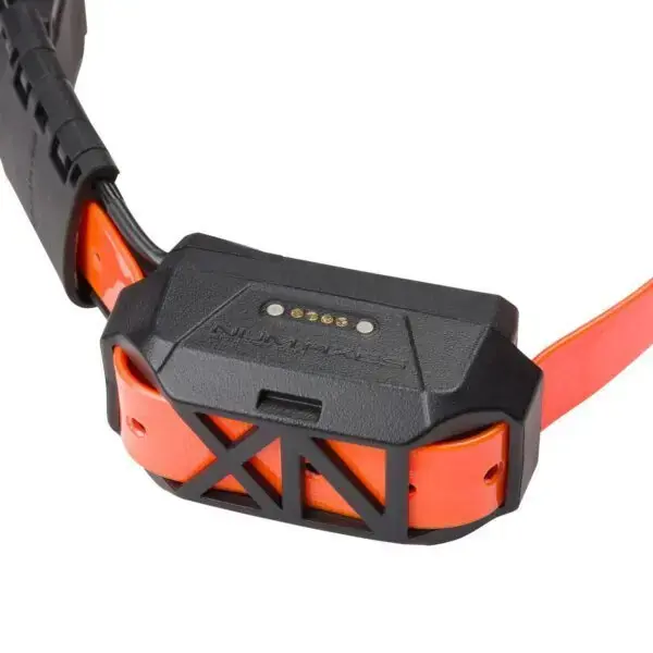 Bara idag | Dog GPS-tracker med träning Num’axes Canicom Gps Mini