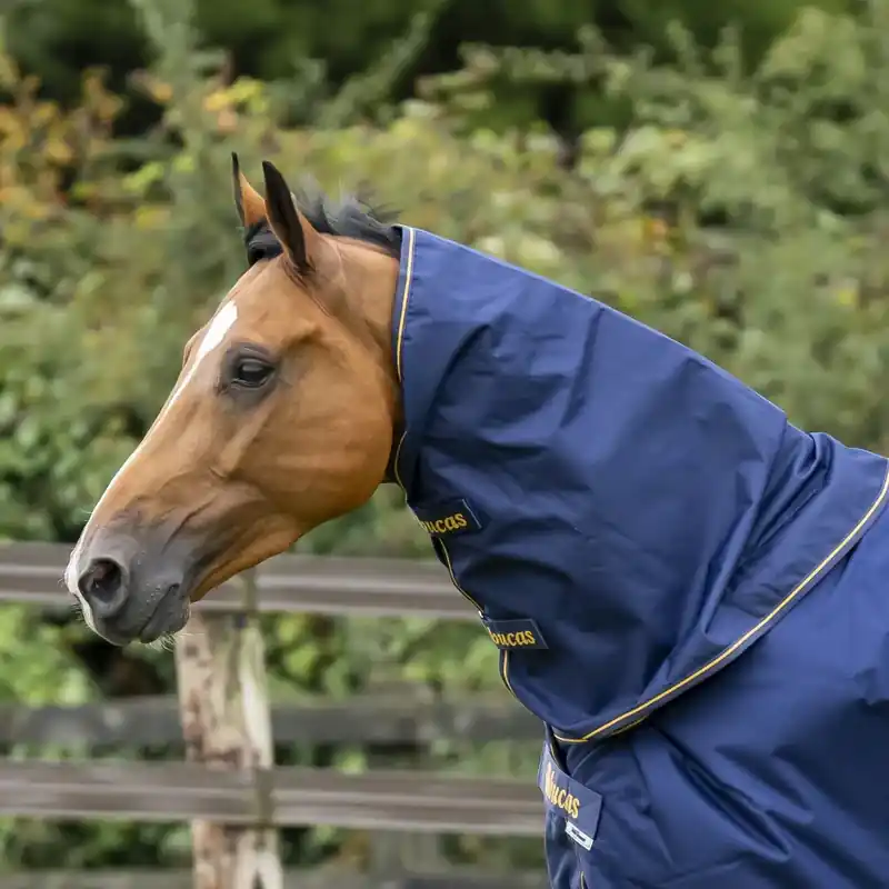 Favorit | Irish Turnout Neck – Marin