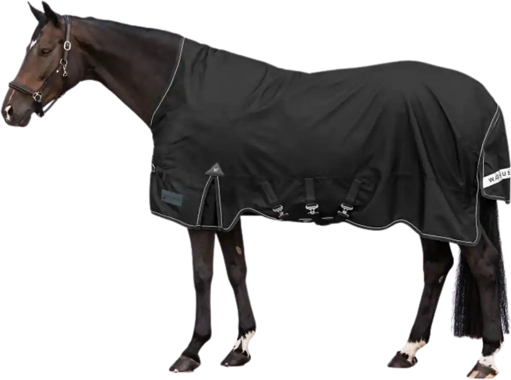 Passa på nu | Utetäcke Scandic, High Neck, 100 G, Svart 125 cm