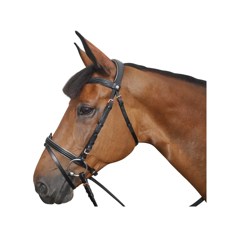 Superpris | Träns för ridning Canter Rose gold