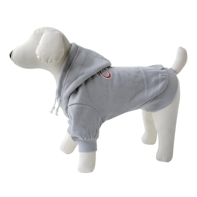 Expressfrakt | Sweatshirt för hund Vivog Cute