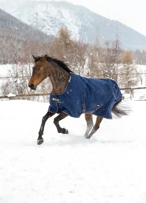 Irish Turnout 150 Navy/Guld 115 cm - Mycket populär